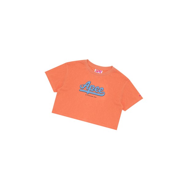 Tricko A BATHING APE Bape Graphic Cropped Tee Kratke Sleeve Damske Oranžové | 0413-GOXKT